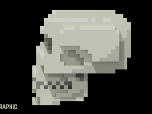 Voxel Human Skull 3D Model