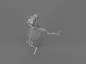 Werewolf 3d printable model 3Dプリントモデル