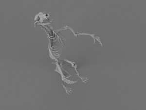 Werewolf 3d printable model 3D Print Model