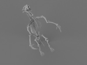 Werewolf 3d printable model 3D Print Model