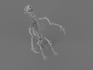 Werewolf 3d printable model 3D Print Model