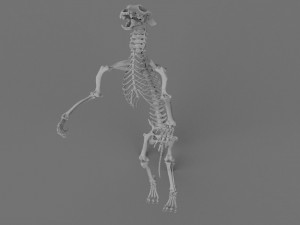 Werewolf 3d printable model 3D Print Model
