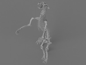 Werewolf 3d printable model 3D Print Model