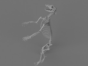Werewolf 3d printable model 3D Print Model