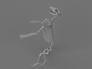 Werewolf 3d printable model 3D Print Model