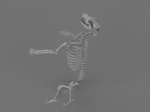 Werewolf 3d printable model 3D Print Model