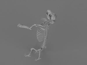 Werewolf 3d printable model 3D Print Model