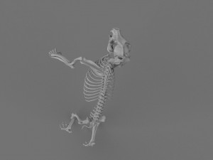 Werewolf 3d printable model 3D Print Model