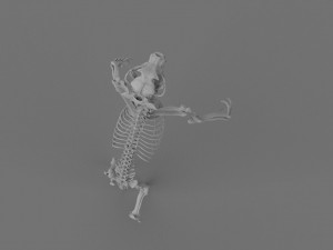Werewolf 3d printable model 3D Print Model