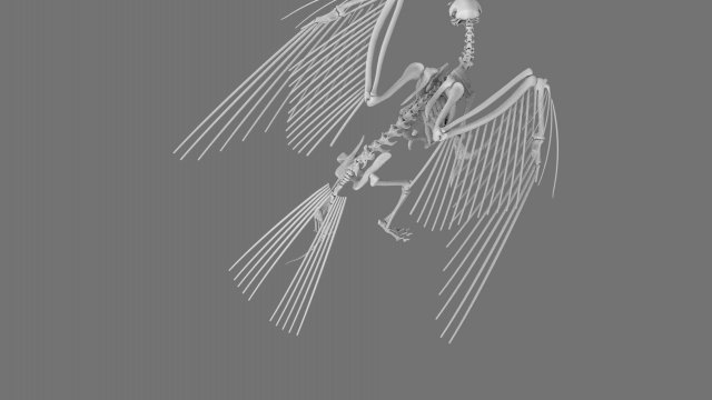 3D GRIFFIN PRINTABLE MODEL Modelo de Impressão 3D .c4d .max .obj .3ds .fbx .stl .blend 