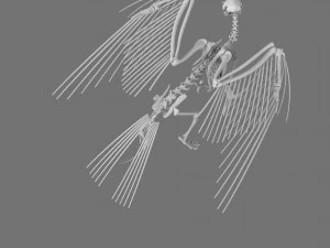 3D 그리핀 인쇄용 모델 3D 프린트 모델