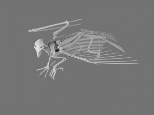 3D GRIFFIN PRINTABLE MODEL Modelo de Impressão 3D