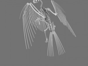 3D GRIFFIN PRINTABLE MODEL Modelo de Impressão 3D