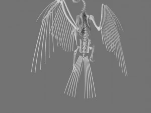 3D GRIFFIN PRINTABLE MODEL 3D Print Model