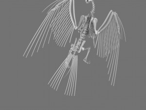 3D GRIFFIN PRINTABLE MODEL Modelo de Impressão 3D