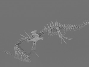3D DRAGON SKELETON PRINTABLE MODEL 3Dプリントモデル