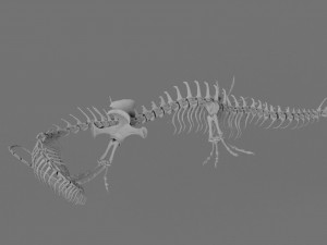 3D DRAGON SKELETON PRINTABLE MODEL 3Dプリントモデル