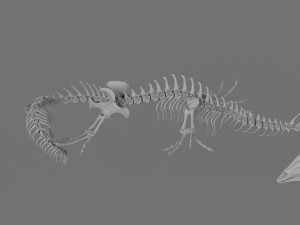 3D DRAGON SKELETON PRINTABLE MODEL 3Dプリントモデル