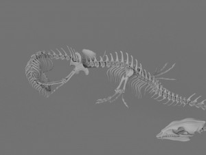 3D DRAGON SKELETON PRINTABLE MODEL 3Dプリントモデル