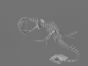 3D DRAGON SKELETON PRINTABLE MODEL 3Dプリントモデル