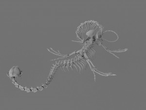 3D DRAGON SKELETON PRINTABLE MODEL 3Dプリントモデル