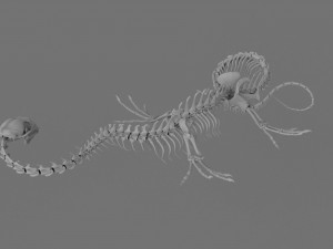3D DRAGON SKELETON PRINTABLE MODEL 3Dプリントモデル