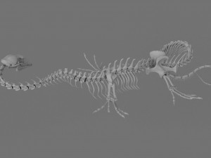 3D DRAGON SKELETON PRINTABLE MODEL 3Dプリントモデル