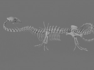 3D DRAGON SKELETON PRINTABLE MODEL 3Dプリントモデル