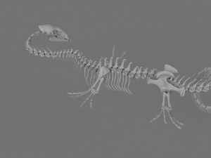 3D DRAGON SKELETON PRINTABLE MODEL 3Dプリントモデル