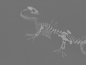 3D DRAGON SKELETON PRINTABLE MODEL 3Dプリントモデル