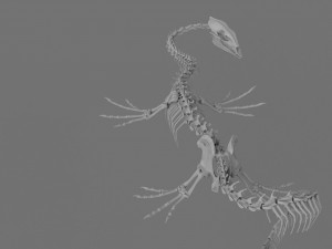 3D DRAGON SKELETON PRINTABLE MODEL 3Dプリントモデル