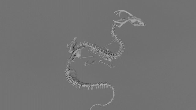 3D DRAGON SKELETON PRINTABLE MODEL Modello di stampa 3D .c4d .max .obj .3ds .fbx .stl .blend