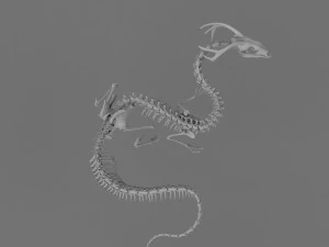 3D МОДЕЛЬ СКЕЛЕТА ДРАКОНА ДЛЯ ДРУКУ 3D Принт Модель