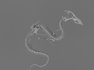 3D DRAGON SKELETON PRINTABLE MODEL Modello di stampa 3D