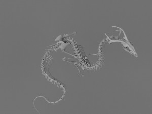 3D DRAGON SKELETON PRINTABLE MODEL Modello di stampa 3D