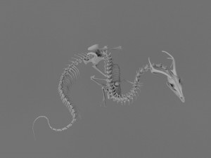 3D DRAGON SKELETON PRINTABLE MODEL Modello di stampa 3D