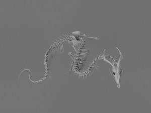 3D DRAGON SKELETON PRINTABLE MODEL Modello di stampa 3D