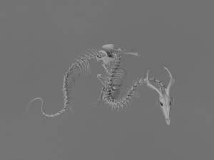 3D DRAGON SKELETON PRINTABLE MODEL 3D Print Model