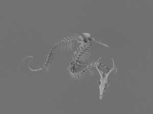3D DRAGON SKELETON PRINTABLE MODEL Modello di stampa 3D