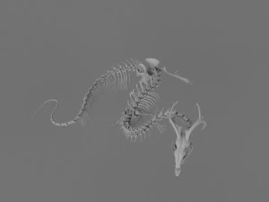 3D DRAGON SKELETON PRINTABLE MODEL 3D Print Model