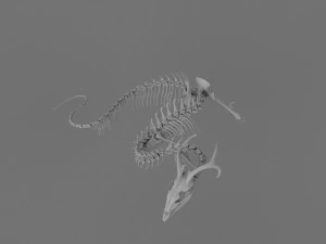 3D DRAGON SKELETON PRINTABLE MODEL 3D Print Model