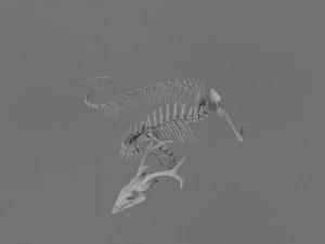 3D DRAGON SKELETON PRINTABLE MODEL 3D Print Model