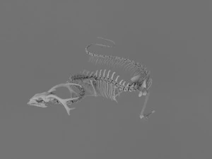 3D DRAGON SKELETON PRINTABLE MODEL 3D Print Model