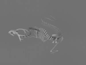 3D DRAGON SKELETON PRINTABLE MODEL Modello di stampa 3D