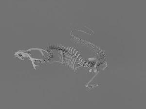 3D DRAGON SKELETON PRINTABLE MODEL 3D Print Model