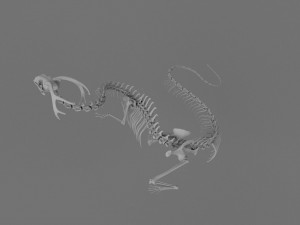3D DRAGON SKELETON PRINTABLE MODEL Modello di stampa 3D