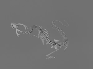 3D DRAGON SKELETON PRINTABLE MODEL 3D Print Model