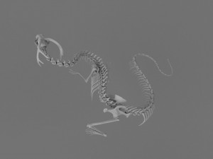 3D DRAGON SKELETON PRINTABLE MODEL Modello di stampa 3D