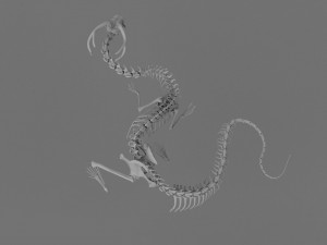 3D DRAGON SKELETON PRINTABLE MODEL Modello di stampa 3D