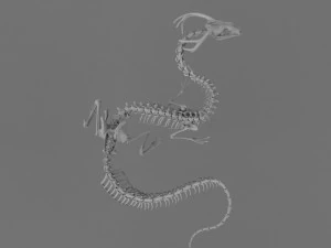 3D DRAGON SKELETON PRINTABLE MODEL 3D Print Model